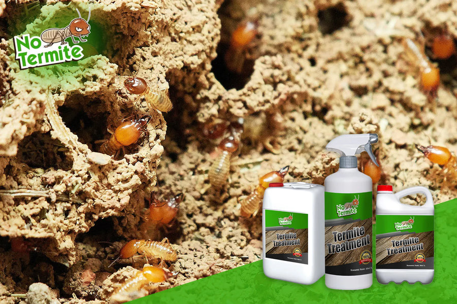 La solution ultime contre les termites !